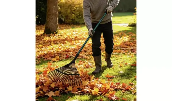 Garden Rake - Image 2